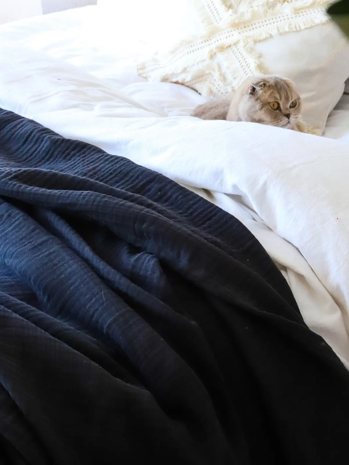 Siyah 4 kat muslin saçaksız yatak örtüsü kumaş dokusu yakın çekim