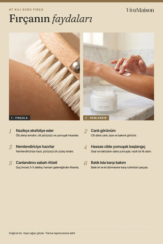 At kılı vücut fırçasının faydaları infografiği: nazik eksfoliasyon, canlı görünüm, nemlendiriciye hazırlar – VivaMaison